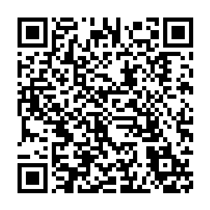 他没想到龙傲天在受到了他们的攻击之后仅仅一瞬间就从地上爬了起来二维码生成