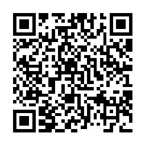 他没有任何时候比现在更看清楚了他侍候了几十年的主子二维码生成