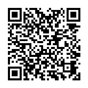 他没有动虚空中的无数法宝以及储物袋与储物戒指二维码生成