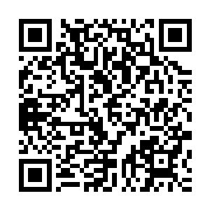 他没有拯救中华民族或是到了古代就建立什么千秋功业的想法二维码生成