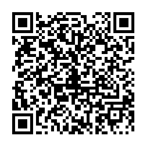 他深蓝色的瞳孔――在灯光下几乎有些发绿――专注地凝视着珍妮二维码生成