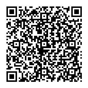 他漠然的看着老者 像是在看着一只小小的蝼蚁 他右手握着一只毛笔 一只三尺长的巨大毛笔二维码生成