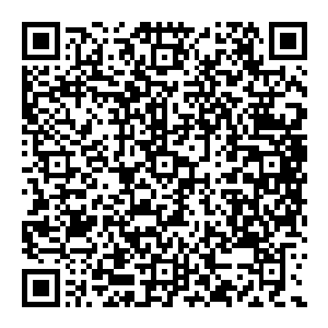 他点点头　毫不畏惧的看着他　虽然内心在狂跳　但他毕竟是尸王血脉　有着僵尸中的至高血统　那是一种无上的优越二维码生成