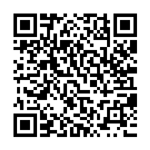 他爱妮娜……爱了一辈子……想了一辈子……盼了一辈子……二维码生成