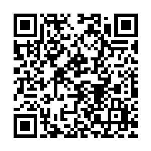 他现在倒仿佛是已经习惯了灵气汲取系统带来的那种不舒服滋味二维码生成