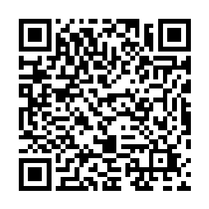 他现在将夏侯龙成那散落在四周的手镯集中在了一起查看二维码生成