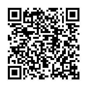 他现在已经能熟练掌握这智能手掌做轻柔的抚摸动作了二维码生成