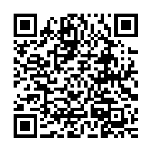 他现在恨不得把储物戒里那株惊世骇俗的星华仙草拿出来卖了二维码生成