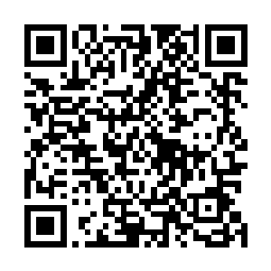 他现在是属于强行利用自己的经验和手段与红级高手对抗二维码生成