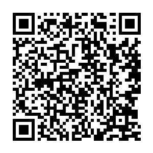 他现在要做的便是将这一股真气全部炼化融合到自己的身体中……二维码生成