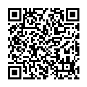 他现在还真的没有办法不问青红皂白就把苏凡抓起来了二维码生成