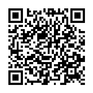 他甚至和王安石在草垛里躲雨的时候给他出了一个钱庄的法子二维码生成