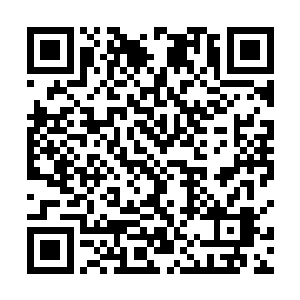 他甚至在想下一届星宿海戡乱会自己要不要去主动参加二维码生成