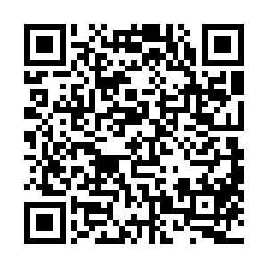 他甚至在自己的识海里可以隐约地勾画出那两个人的模样二维码生成