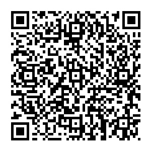 他甚至没问为什么在军团参谋部的兵棋推演中魔化傀儡可以这么快的通过被南方国家给予了厚望的卡雷山脉天堑二维码生成