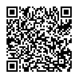 他甚至还在周围把一些散乱的丢出去的内脏进行的检查――看着这么一个男人二维码生成