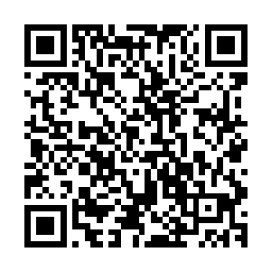 他甚至还看到了一条和自己现在系着腰带一样的满月龙魂腰带二维码生成