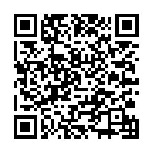 他用过去两年时间的一部部作品证实了他过硬的表演能力二维码生成
