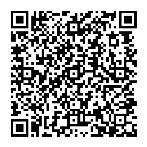 他疯狂大吼 像是失去了理智一般 疯狂的气息传遍天下 在他的大吼下 第一重光幕开始颤抖二维码生成