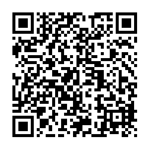他的亲舅舅会在你这小小的格森王国中做一个小小的护卫来保护你二维码生成