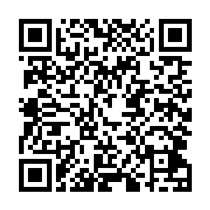 他的伤势有些严重啊…到底是发生了什么事才会伤成这样二维码生成