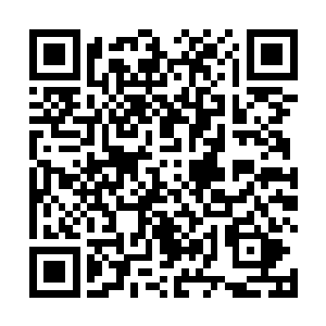 他的体内仿佛要硬生生地繁衍出另外一种可怕的力量来二维码生成