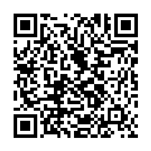 他的做法倒也没错……反正他们刚才也已经得罪剧情npc了二维码生成