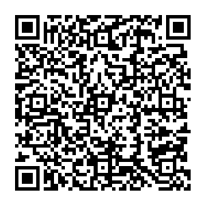 他的功法的确沒有错 若是寻常僵尸來修炼 体内也就是诞生九头犼尊 则开始突破紫僵 但他不一样二维码生成