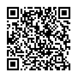 他的医术……真的可能比安锦华安神医的医术……还要高二维码生成