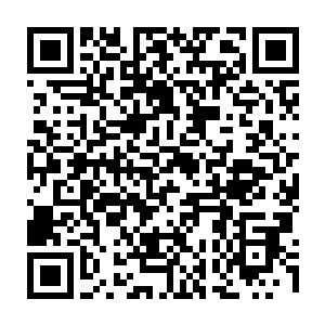 他的双手双脚仍然被刀君罗晋一瞬间释放出来的刀意给困住根本动弹不得二维码生成