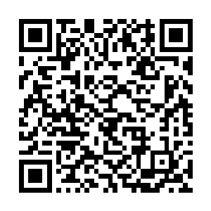 他的双腿甚至因为过于用力的紧绷而开始微微颤抖着二维码生成