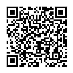 他的反应一般是很冷静的用睿智的目光看着美女在他面前表演二维码生成