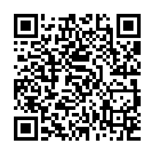 他的口袋里揣着一封哈德菲尔德将军的一封亲笔信和一个数据mo二维码生成