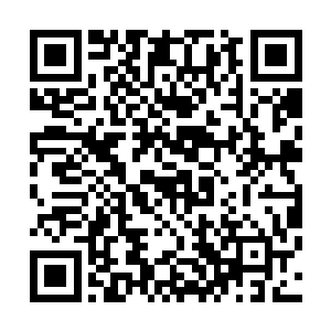 他的后人中就曾经出现过很多次拿秦家血脉练功的事情……二维码生成
