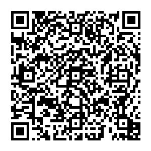 他的大悲掌依然是一次又一次的印在了这个天邪宗高手的身上的……虽然每一次出手都相当的冒险二维码生成