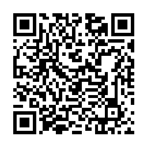 他的实力跟那些上忍和特别上忍已经完全不是一个层次了二维码生成