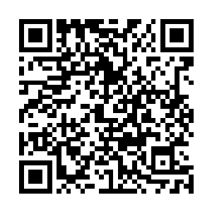 他的对手没料在比赛过程中还能把机甲零部件拆下来当暗器二维码生成