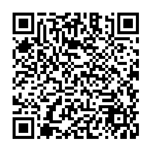 他的年龄和能力还远远不足以建立能够保护自己与天下各路势力抗衡的实力二维码生成