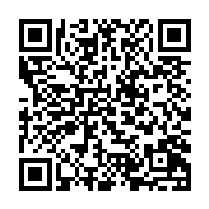 他的底气就来自于他们的搜索引擎世界第一的占有率二维码生成