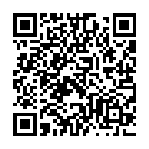 他的心脏仿佛就要炸开了一般……用了无数高科技仪器查过二维码生成