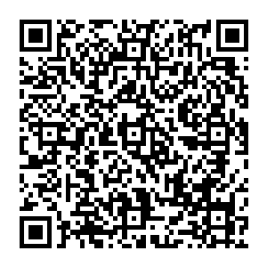 他的性格就决定了他不是那种喜欢玩弄阴谋诡计或者是生活在阴暗之中还能找到乐趣的那种人二维码生成