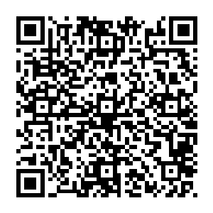 他的手上拿着一柄差不多他半人高的手斧 父子的锋面非常大 比他的脸还大上几分二维码生成
