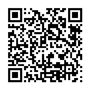 他的本体混元星辰宝树在鸿蒙鼎的洗礼下不断的在蜕变二维码生成