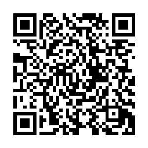 他的样貌已经在每一个费南生灵的脑海中留下一个深刻的印象二维码生成