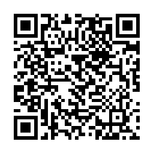 他的海外总资产在洪涛和妮娜手里的只有二百万不到二维码生成