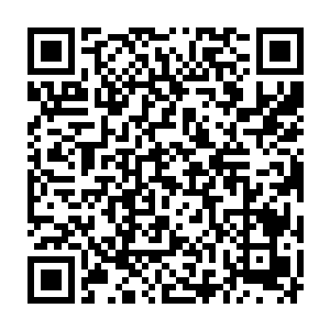 他的目光落在了那朵虽然枯萎但却充满了灵气和生命气息的牡丹花上面二维码生成