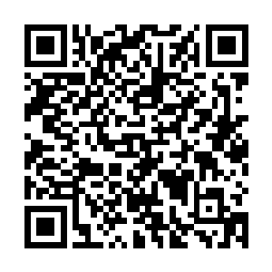 他的确是在第一眼看到林辉那法器时候就起了觊觎之心二维码生成