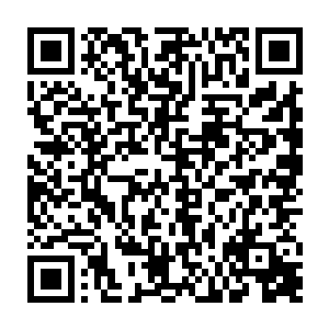 他的确见过一些玩家……会十分执着地将某张自己特别喜爱的卡放入牌组二维码生成