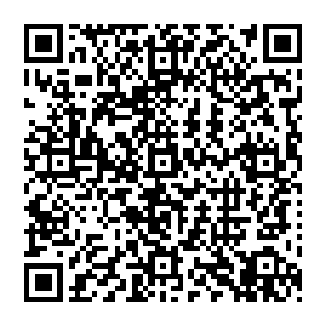 他的神情竟然完全释然了……顷刻间就从一个保姆型的暖男变成了高大上仙气袭人的修真大能了二维码生成