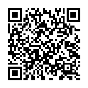 他的脑海满是林烽因为这攻击而倒在地上痛苦哀求的样子二维码生成